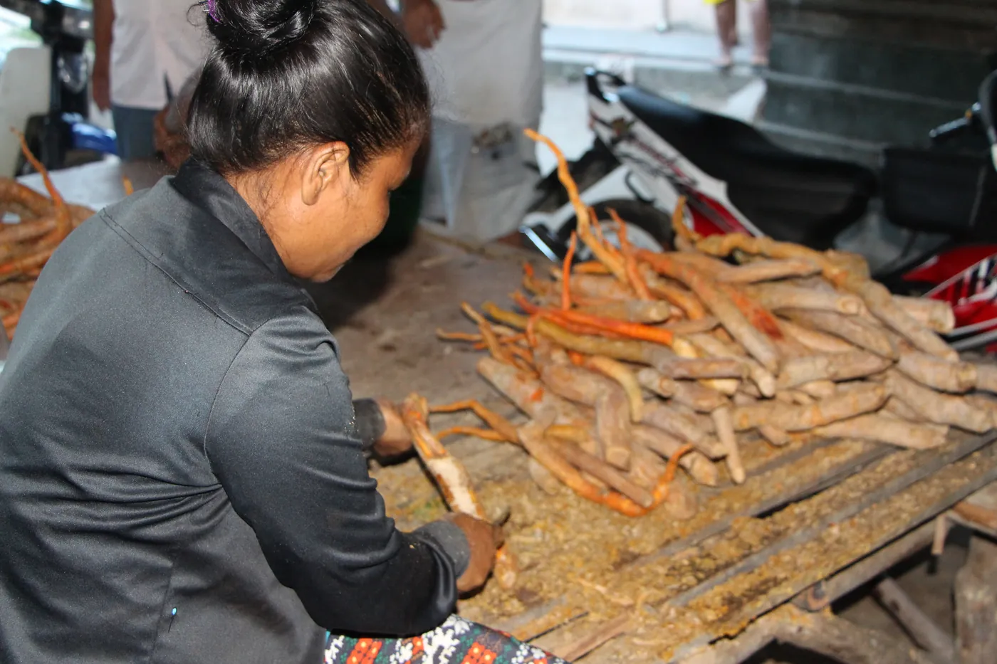 Cleaning and preparing Tongkat Ali roots by hand